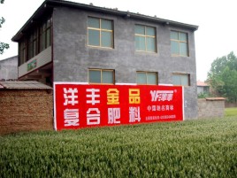 黄梅如何让墙体广告展现最大化效果