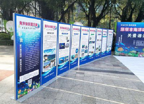 黄梅KT板的种类和知识。